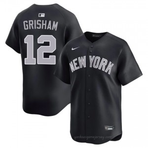 #12 Trent Grisham Navy On-Field Style Basseball Jersey | Men Authentic NY Yankee MLB Apparel 4871M010