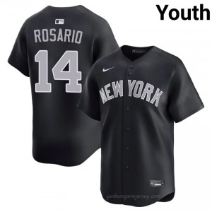 #14 Amed Rosario Navy On-Field Style Basseball Jersey | Youth Authentic New York Yankees MLB Apparel 7GX6Av31