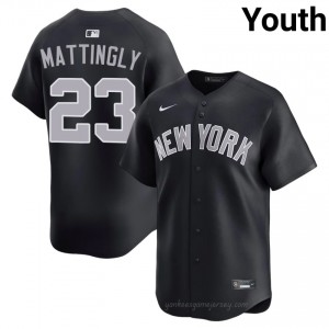 #23 Don Mattingly Navy On-Field Style Basseball Jersey | Youth Authentic NYY MLB Apparel 55445439