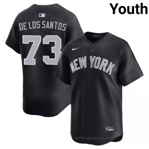 Youth Yerry De los Santos #73 New York Yankees Navy Elite Basseball Jersey| Embroidery Authentic tc0X7541
