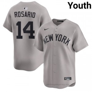 Youth Amed Rosario #14 Yankees Gray Elite Basseball Jersey| Stitch Authentic 4F6B7158