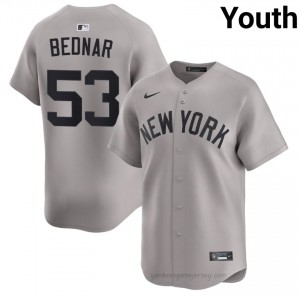Youth David Bednar #53 NY Yankee Gray Elite Basseball Jersey| Stitch Authentic 8Lv8X828
