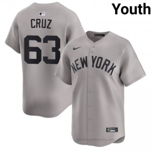 Youth Fernando Cruz #63 NY Yankee Gray Elite Basseball Jersey| Stitch Authentic Cv168e49