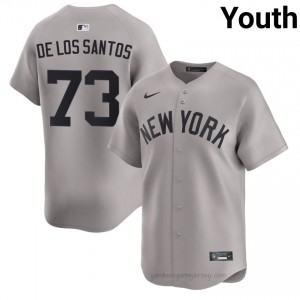 #73 Yerry De los Santos Gray On-Field Style Basseball Jersey | Youth Authentic Yankees MLB Apparel J678kx27